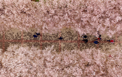 ֣ݸУʢʤ ΪƵУγ